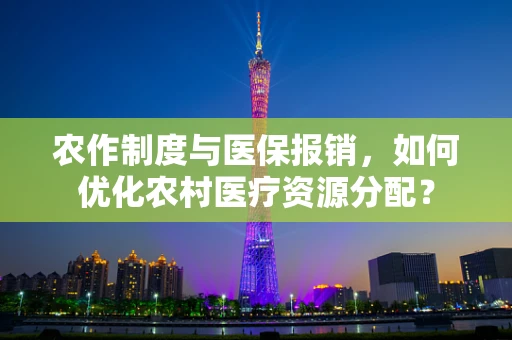 农作制度与医保报销，如何优化农村医疗资源分配？