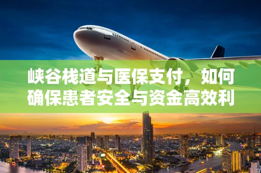 峡谷栈道与医保支付，如何确保患者安全与资金高效利用？