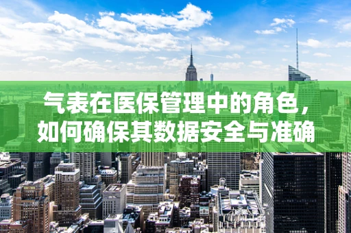 气表在医保管理中的角色，如何确保其数据安全与准确？