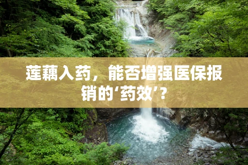 莲藕入药，能否增强医保报销的‘药效’？