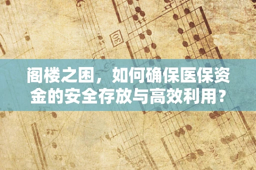 阁楼之困，如何确保医保资金的安全存放与高效利用？
