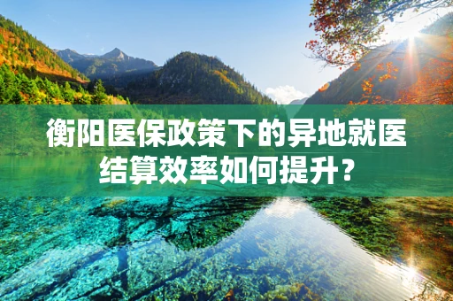 衡阳医保政策下的异地就医结算效率如何提升？