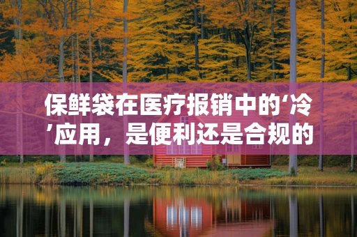 保鲜袋在医疗报销中的‘冷’应用，是便利还是合规的灰色地带？