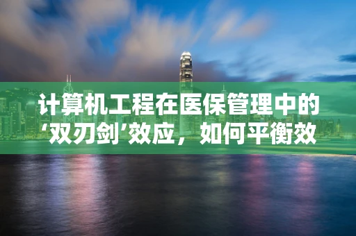 计算机工程在医保管理中的‘双刃剑’效应，如何平衡效率与安全？