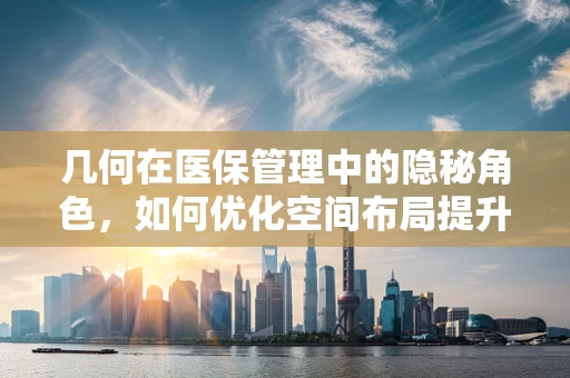 几何在医保管理中的隐秘角色，如何优化空间布局提升效率？