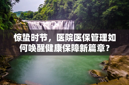 惊蛰时节，医院医保管理如何唤醒健康保障新篇章？