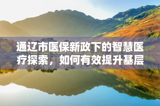 通辽市医保新政下的智慧医疗探索，如何有效提升基层医疗服务效率？