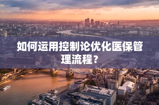 如何运用控制论优化医保管理流程？