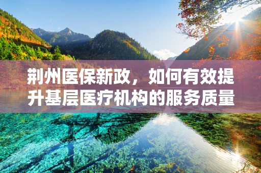 荆州医保新政，如何有效提升基层医疗机构的服务质量与医保资金使用效率？