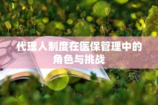 代理人制度在医保管理中的角色与挑战