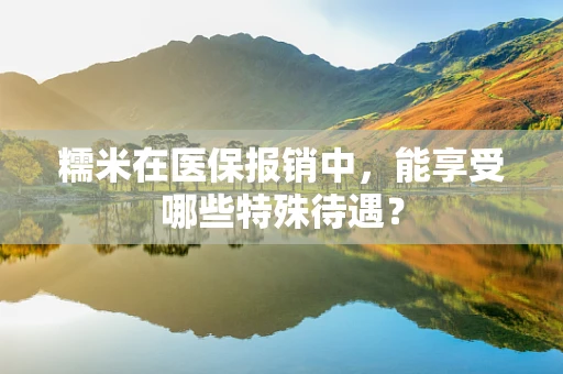 糯米在医保报销中，能享受哪些特殊待遇？
