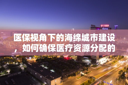 医保视角下的海绵城市建设，如何确保医疗资源分配的吸水性？