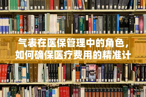 气表在医保管理中的角色，如何确保医疗费用的精准计量？