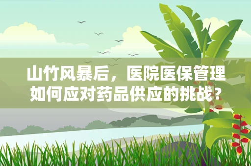 山竹风暴后，医院医保管理如何应对药品供应的挑战？