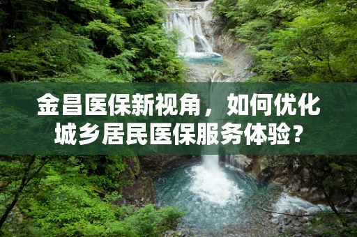 金昌医保新视角，如何优化城乡居民医保服务体验？