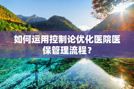 如何运用控制论优化医院医保管理流程？