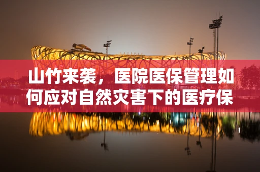 山竹来袭，医院医保管理如何应对自然灾害下的医疗保障挑战？