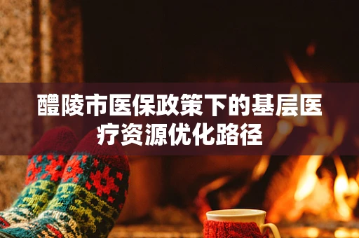 醴陵市医保政策下的基层医疗资源优化路径