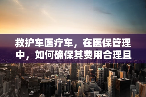 救护车医疗车，在医保管理中，如何确保其费用合理且高效使用？
