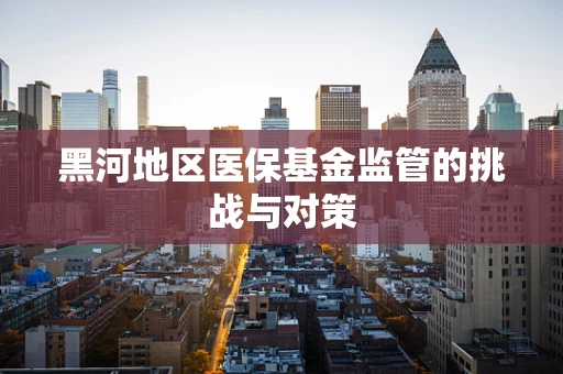 黑河地区医保基金监管的挑战与对策