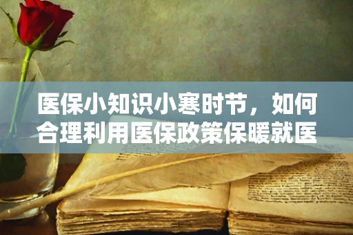 医保小知识小寒时节，如何合理利用医保政策保暖就医？