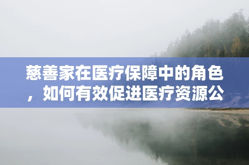 慈善家在医疗保障中的角色，如何有效促进医疗资源公平分配？
