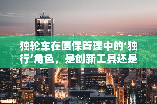 独轮车在医保管理中的‘独行’角色，是创新工具还是风险隐患？