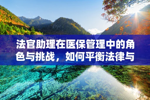 法官助理在医保管理中的角色与挑战，如何平衡法律与医疗的双重维度？