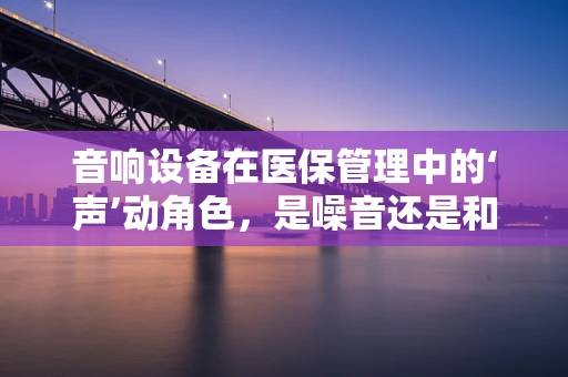 音响设备在医保管理中的‘声’动角色，是噪音还是和谐旋律？