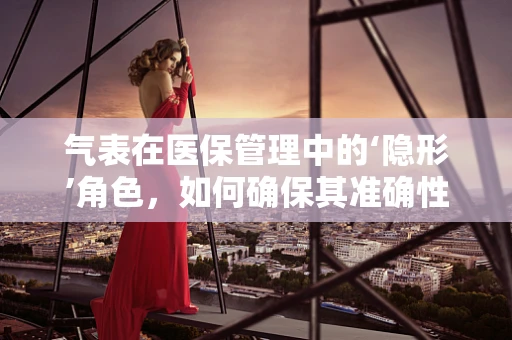 气表在医保管理中的‘隐形’角色，如何确保其准确性与安全性？