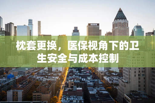 枕套更换，医保视角下的卫生安全与成本控制