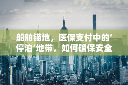 船舶锚地，医保支付中的‘停泊’地带，如何确保安全与高效？
