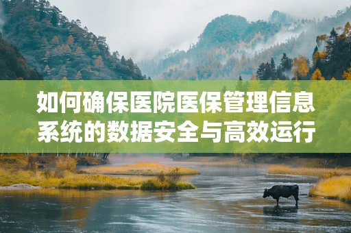 如何确保医院医保管理信息系统的数据安全与高效运行？