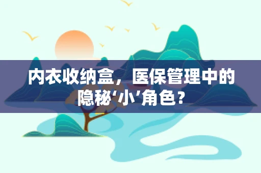 内衣收纳盒，医保管理中的隐秘‘小’角色？