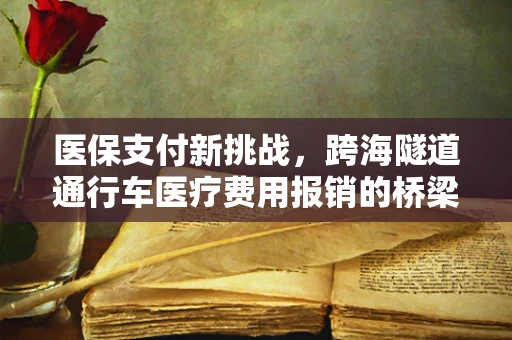 医保支付新挑战，跨海隧道通行车医疗费用报销的桥梁如何搭建？