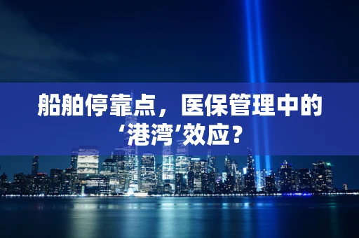 船舶停靠点，医保管理中的‘港湾’效应？
