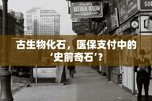 古生物化石，医保支付中的‘史前奇石’？
