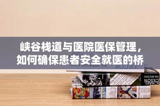 峡谷栈道与医院医保管理，如何确保患者安全就医的桥梁？