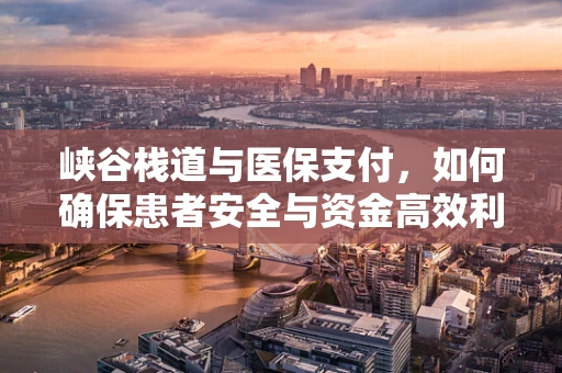 峡谷栈道与医保支付，如何确保患者安全与资金高效利用？