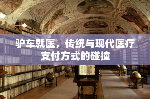 驴车就医，传统与现代医疗支付方式的碰撞