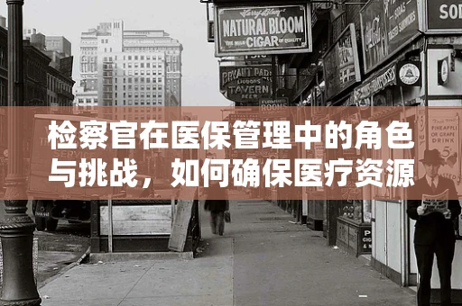 检察官在医保管理中的角色与挑战，如何确保医疗资源公正分配？