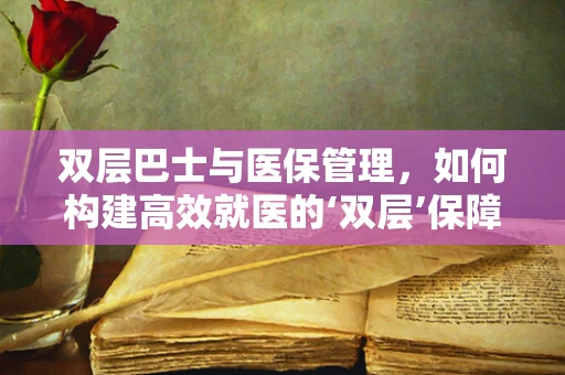 双层巴士与医保管理，如何构建高效就医的‘双层’保障？