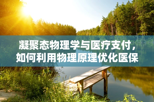 凝聚态物理学与医疗支付，如何利用物理原理优化医保管理？