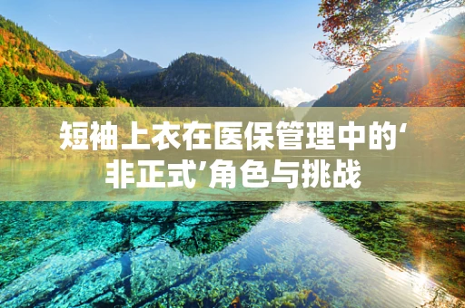短袖上衣在医保管理中的‘非正式’角色与挑战