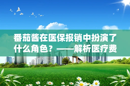 番茄酱在医保报销中扮演了什么角色？——解析医疗费用中的非传统报销项目
