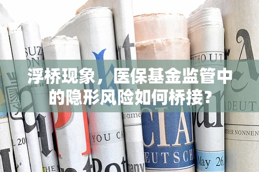浮桥现象，医保基金监管中的隐形风险如何桥接？