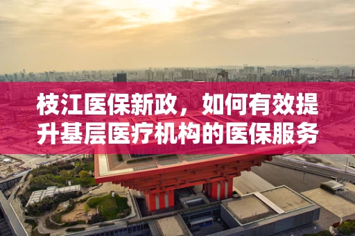 枝江医保新政，如何有效提升基层医疗机构的医保服务水平？
