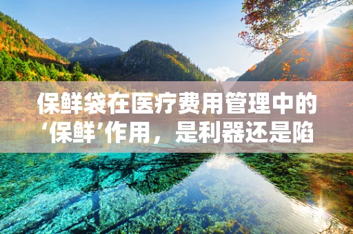 保鲜袋在医疗费用管理中的‘保鲜’作用，是利器还是陷阱？