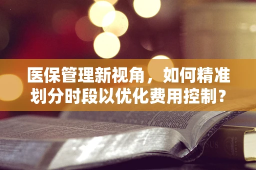 医保管理新视角，如何精准划分时段以优化费用控制？