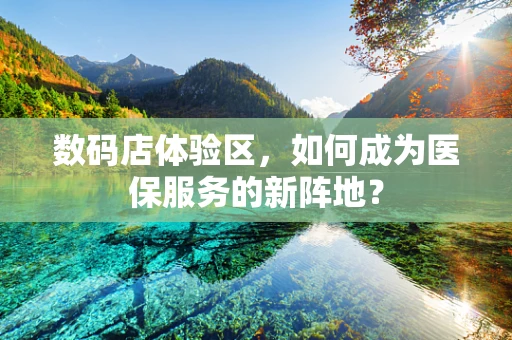 数码店体验区，如何成为医保服务的新阵地？
